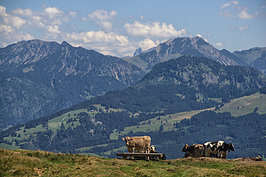 Bernhard Saalfeld - Auf dem Hoerner Panoramaweg